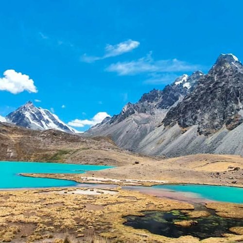 7 LAGUNAS PORT