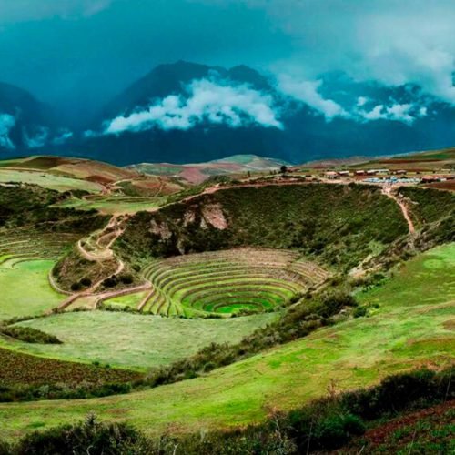 moray